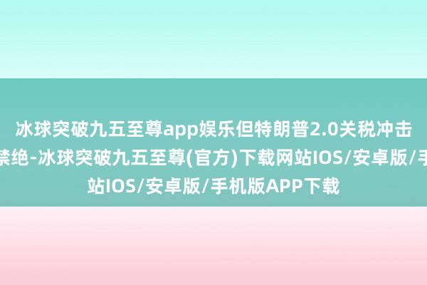 冰球突破九五至尊app娱乐但特朗普2.0关税冲击或成为不竭的禁绝-冰球突破九五至尊(官方)下载网站IOS/安卓版/手机版APP下载