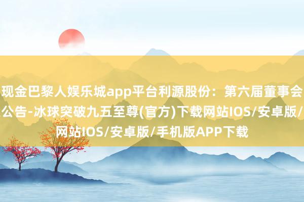 现金巴黎人娱乐城app平台利源股份：第六届董事会第五次会议决策公告-冰球突破九五至尊(官方)下载网站IOS/安卓版/手机版APP下载