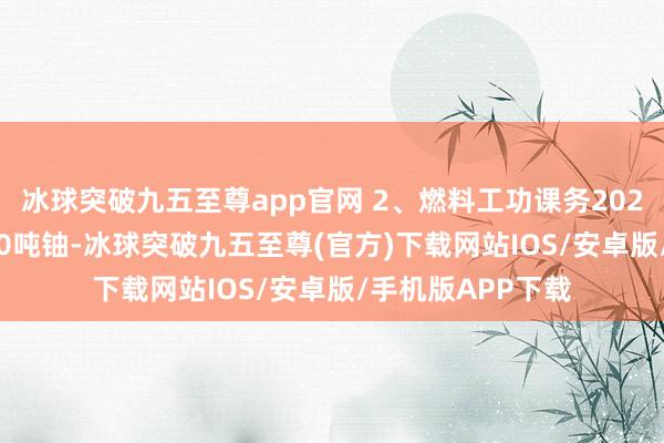 冰球突破九五至尊app官网 2、燃料工功课务2024年产量为13500吨铀-冰球突破九五至尊(官方)下载网站IOS/安卓版/手机版APP下载