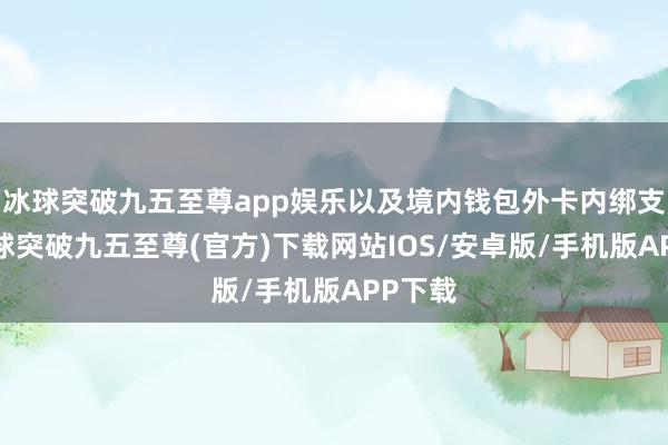 冰球突破九五至尊app娱乐以及境内钱包外卡内绑支付-冰球突破九五至尊(官方)下载网站IOS/安卓版/手机版APP下载