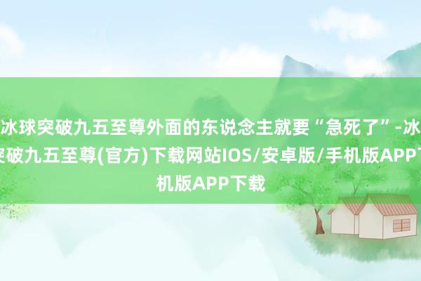 冰球突破九五至尊外面的东说念主就要“急死了”-冰球突破九五至尊(官方)下载网站IOS/安卓版/手机版APP下载